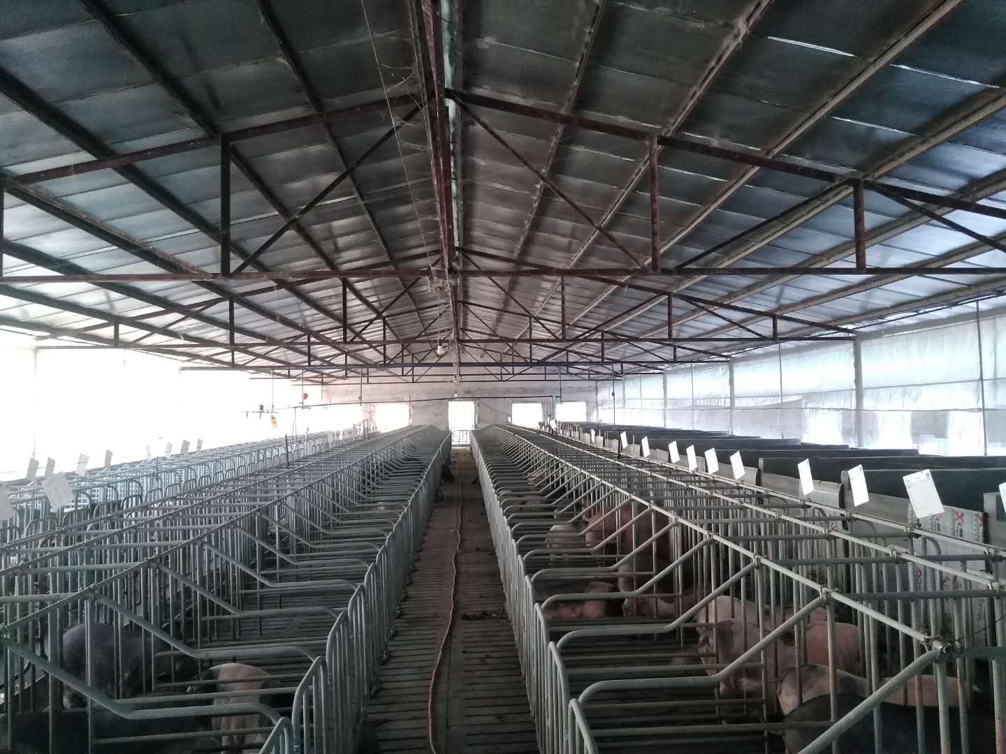 微信图片_20201028093448.jpg