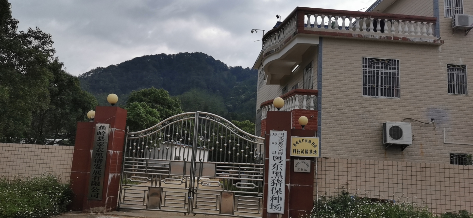 蕉岭泰农3.jpg